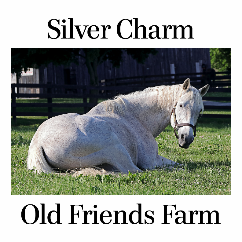 Old Friends Farm Fundraiser - Silver Charm shirt design - zoomed