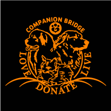Companion Bridge Fall Mask Fundraiser shirt design - zoomed