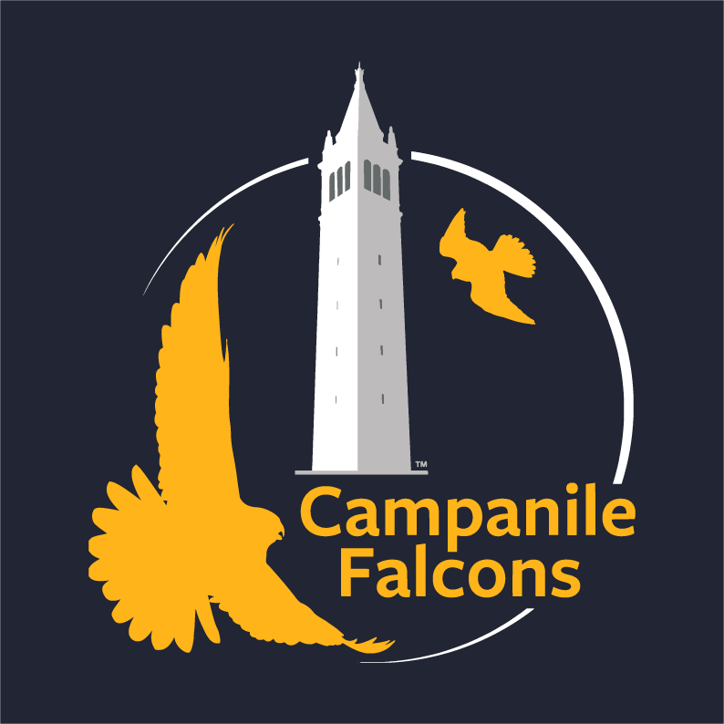 Campanile Peregrines shirt design - zoomed