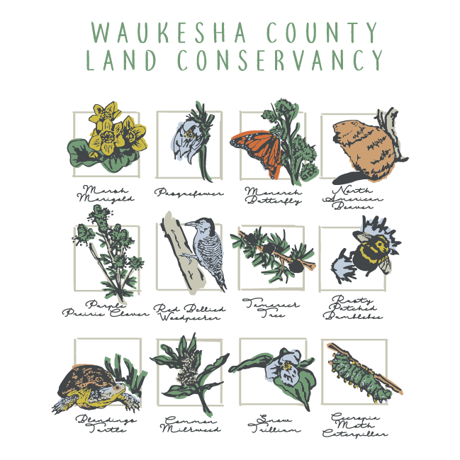 Waukesha County Land Conservancy's Native Plants & Wildlife Campaign shirt design - zoomed