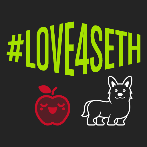LOVE 4 SETH 2020 shirt design - zoomed