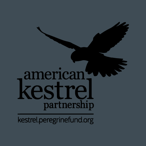 American Kestrel Partnership 2020: Pacific Blue Shirts shirt design - zoomed