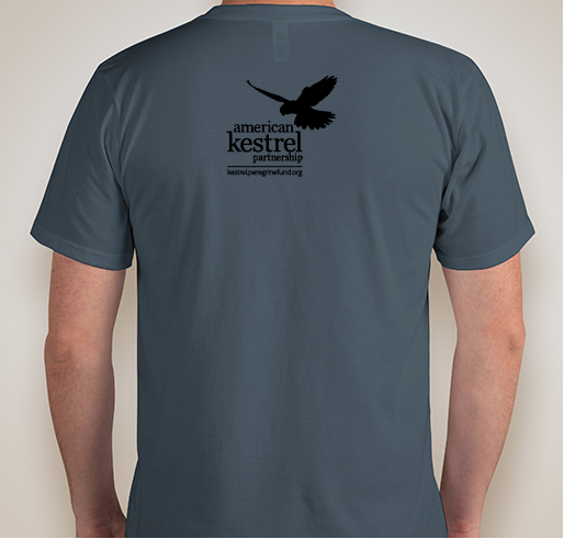 American Kestrel Partnership 2020: Pacific Blue Shirts Fundraiser - unisex shirt design - back