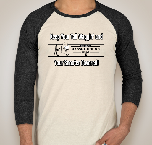 Threadfast Tri-Blend Raglan T-shirt